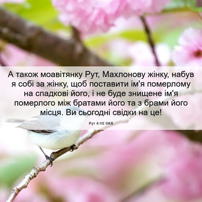Picture 06 - Рут 4:10 UKR - А також моавітянку Рут, - Bible Verse Picture