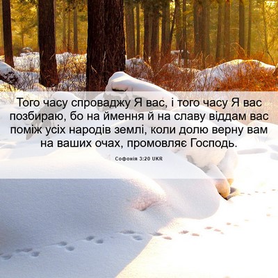Picture 06 - Софонія 3:20 UKR - Того часу спроваджу Я вас, - Bible Verse Picture