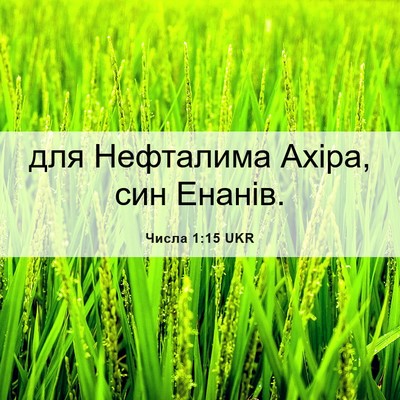 Picture 06 - Числа 1:15 UKR - для Нефталима Ахіра, син - Bible Verse Picture