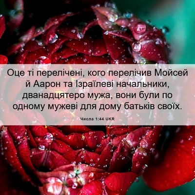 Picture 06 - Числа 1:44 UKR - Оце ті перелічені, кого - Bible Verse Picture