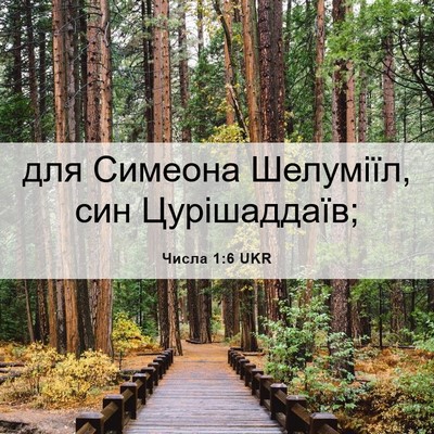 Picture 06 - Числа 1:6 UKR - для Симеона Шелуміїл, син - Bible Verse Picture