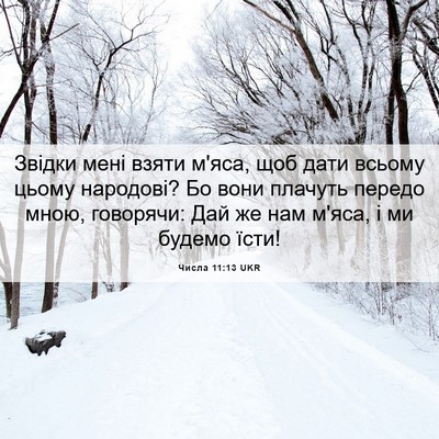 Picture 06 - Числа 11:13 UKR - Звідки мені взяти м'яса, - Bible Verse Picture