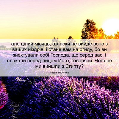 Picture 06 - Числа 11:20 UKR - але цілий місяць, аж поки - Bible Verse Picture