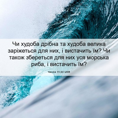 Picture 06 - Числа 11:22 UKR - Чи худоба дрібна та худоба - Bible Verse Picture