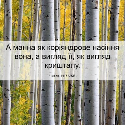 Picture 06 - Числа 11:7 UKR - А манна як коріяндрове - Bible Verse Picture