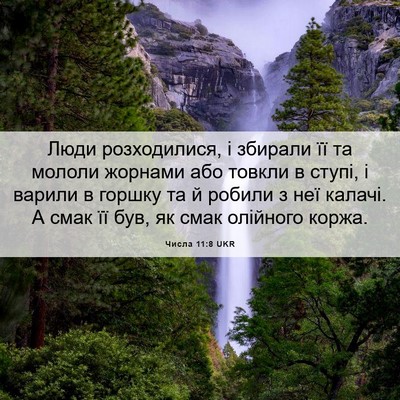 Picture 06 - Числа 11:8 UKR - Люди розходилися, і - Bible Verse Picture