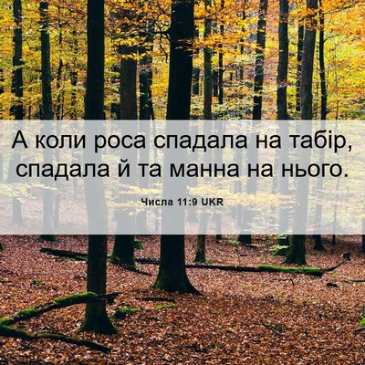 Picture 06 - Числа 11:9 UKR - А коли роса спадала на - Bible Verse Picture