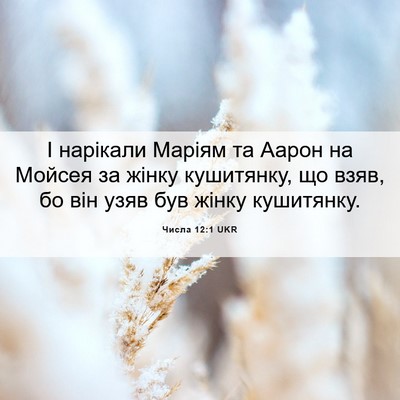 Picture 06 - Числа 12:1 UKR - І нарікали Маріям та Аарон - Bible Verse Picture