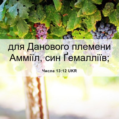 Picture 06 - Числа 13:12 UKR - для Данового племени - Bible Verse Picture