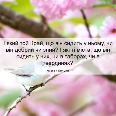 Picture 06 - Числа 13:19 UKR - І який той Край, що він - Bible Verse Picture