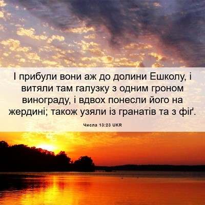 Picture 06 - Числа 13:23 UKR - І прибули вони аж до долини - Bible Verse Picture