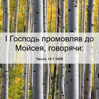 Picture 06 - Числа 15:1 UKR - І Господь промовляв до - Bible Verse Picture