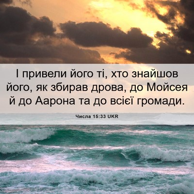 Picture 06 - Числа 15:33 UKR - І привели його ті, хто - Bible Verse Picture