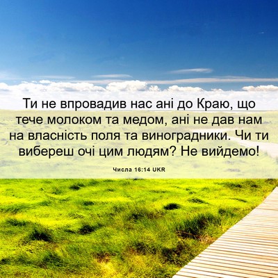 Picture 06 - Числа 16:14 UKR - Ти не впровадив нас ані до - Bible Verse Picture