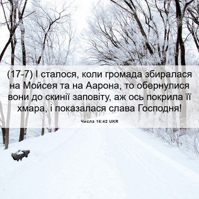 Picture 06 - Числа 16:42 UKR - (17-7) І сталося, коли громада - Bible Verse Picture