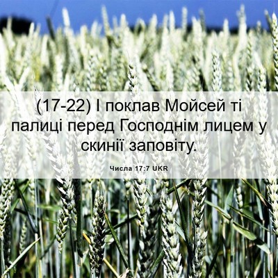Picture 06 - Числа 17:7 UKR - (17-22) І поклав Мойсей ті - Bible Verse Picture