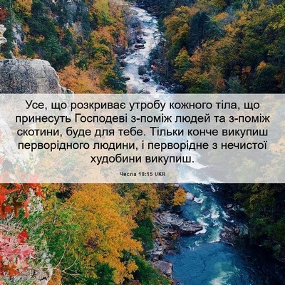 Picture 06 - Числа 18:15 UKR - Усе, що розкриває утробу - Bible Verse Picture