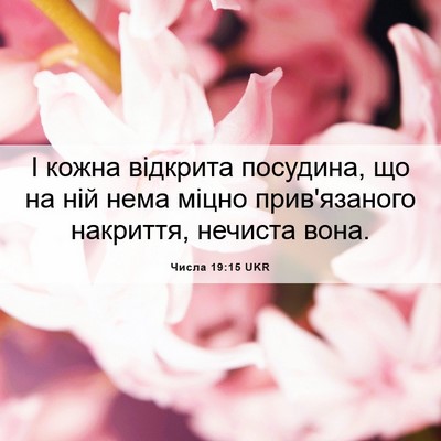 Picture 06 - Числа 19:15 UKR - І кожна відкрита посудина, - Bible Verse Picture