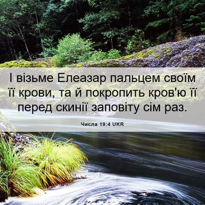 Picture 06 - Числа 19:4 UKR - І візьме Елеазар пальцем - Bible Verse Picture