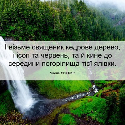 Picture 06 - Числа 19:6 UKR - І візьме священик кедрове - Bible Verse Picture