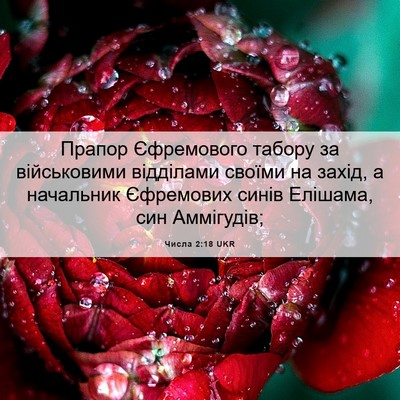 Picture 06 - Числа 2:18 UKR - Прапор Єфремового табору - Bible Verse Picture