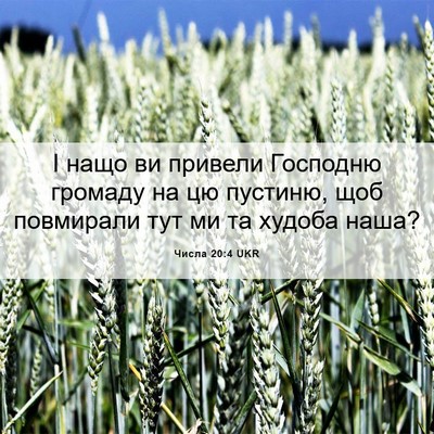 Picture 06 - Числа 20:4 UKR - І нащо ви привели Господню - Bible Verse Picture