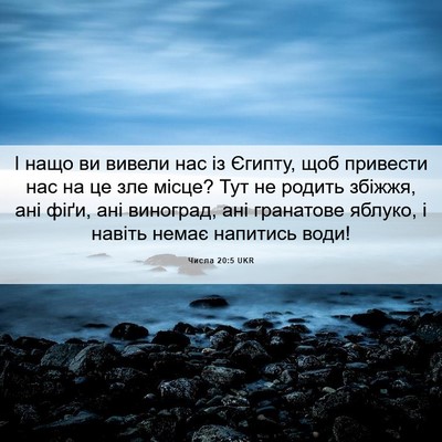Picture 06 - Числа 20:5 UKR - І нащо ви вивели нас із - Bible Verse Picture