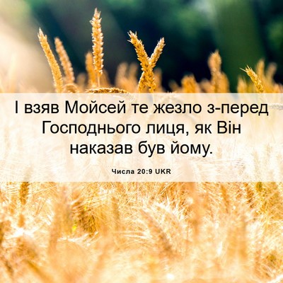 Picture 06 - Числа 20:9 UKR - І взяв Мойсей те жезло - Bible Verse Picture