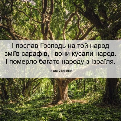 Picture 06 - Числа 21:6 UKR - І послав Господь на той - Bible Verse Picture