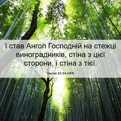 Picture 06 - Числа 22:24 UKR - І став Ангол Господній на - Bible Verse Picture