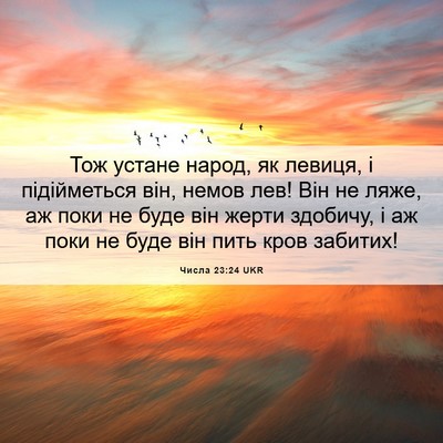 Picture 06 - Числа 23:24 UKR - Тож устане народ, як - Bible Verse Picture