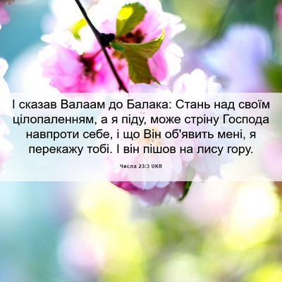 Picture 06 - Числа 23:3 UKR - І сказав Валаам до Балака: - Bible Verse Picture