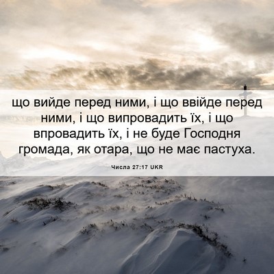 Picture 06 - Числа 27:17 UKR - що вийде перед ними, і що - Bible Verse Picture