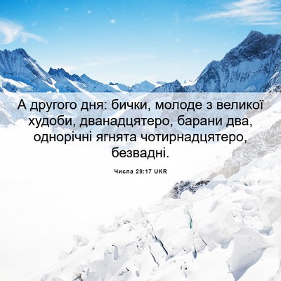 Picture 06 - Числа 29:17 UKR - А другого дня: бички, - Bible Verse Picture