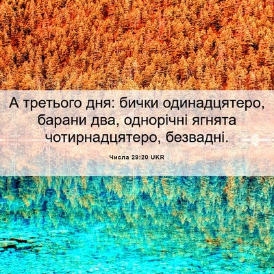 Picture 06 - Числа 29:20 UKR - А третього дня: бички - Bible Verse Picture