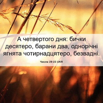 Picture 06 - Числа 29:23 UKR - А четвертого дня: бички - Bible Verse Picture