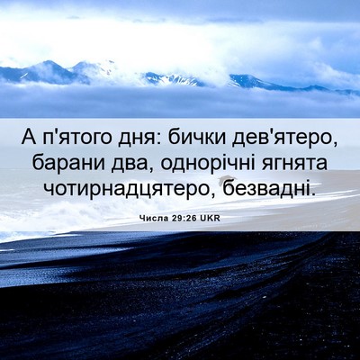 Picture 06 - Числа 29:26 UKR - А п'ятого дня: бички - Bible Verse Picture