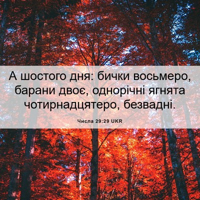 Picture 06 - Числа 29:29 UKR - А шостого дня: бички - Bible Verse Picture