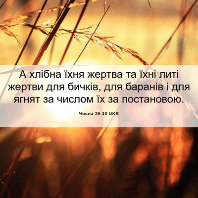 Picture 06 - Числа 29:30 UKR - А хлібна їхня жертва та - Bible Verse Picture