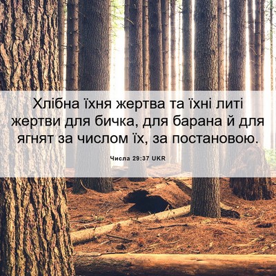 Picture 06 - Числа 29:37 UKR - Хлібна їхня жертва та їхні - Bible Verse Picture