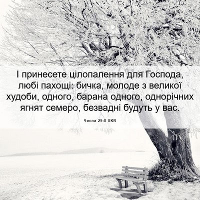 Picture 06 - Числа 29:8 UKR - І принесете цілопалення - Bible Verse Picture