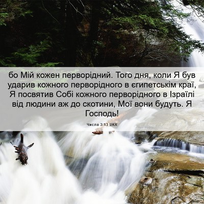 Picture 06 - Числа 3:13 UKR - бо Мій кожен перворідний. - Bible Verse Picture