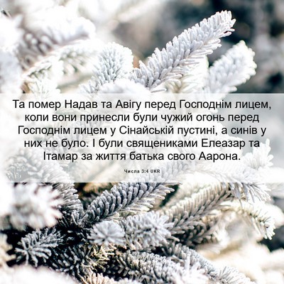 Picture 06 - Числа 3:4 UKR - Та помер Надав та Авігу - Bible Verse Picture