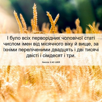 Picture 06 - Числа 3:43 UKR - І було всіх перворідних - Bible Verse Picture
