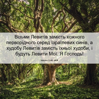 Picture 06 - Числа 3:45 UKR - Візьми Левитів замість - Bible Verse Picture