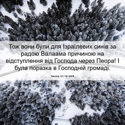 Picture 06 - Числа 31:16 UKR - Тож вони були для - Bible Verse Picture