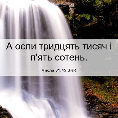 Picture 06 - Числа 31:45 UKR - А осли тридцять тисяч і - Bible Verse Picture