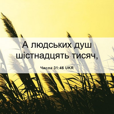 Picture 06 - Числа 31:46 UKR - А людських душ шістнадцять - Bible Verse Picture