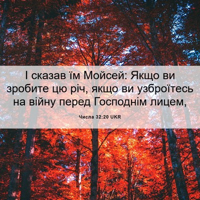 Picture 06 - Числа 32:20 UKR - І сказав їм Мойсей: Якщо ви - Bible Verse Picture