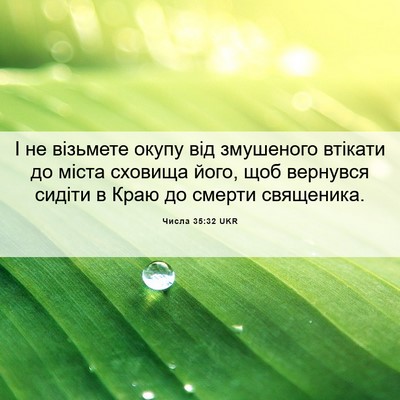 Picture 06 - Числа 35:32 UKR - І не візьмете окупу від - Bible Verse Picture